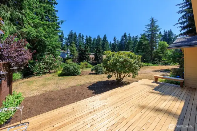 Amazing sunny backyard that has a new deck with seating bench.  Beyond the shrubs the yard gently slopes to Penny Creek.