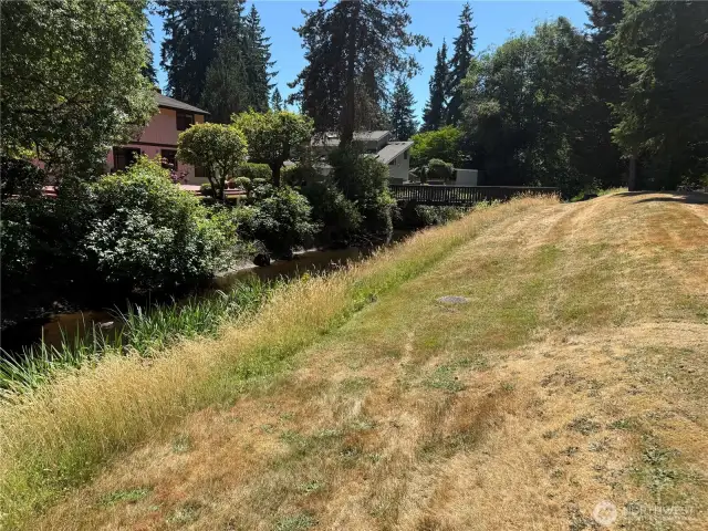 Another view of the backyard with the creek.  You can see the foot bridge in the distance.