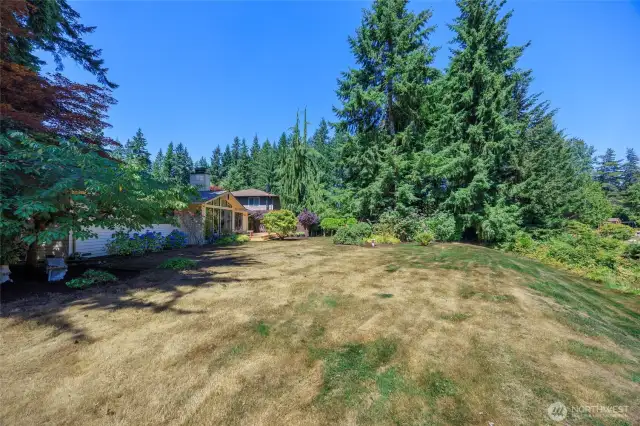 A view looking toward the house from the backyard.