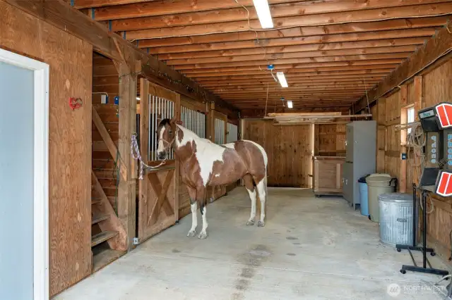 2 stall barn with heated tack room with sink.