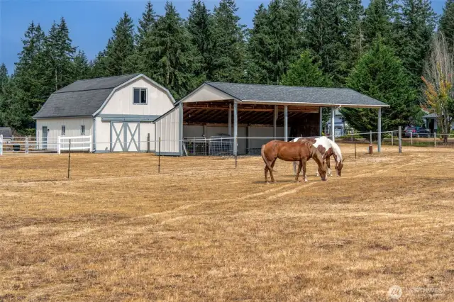 Plenty of room for your horses