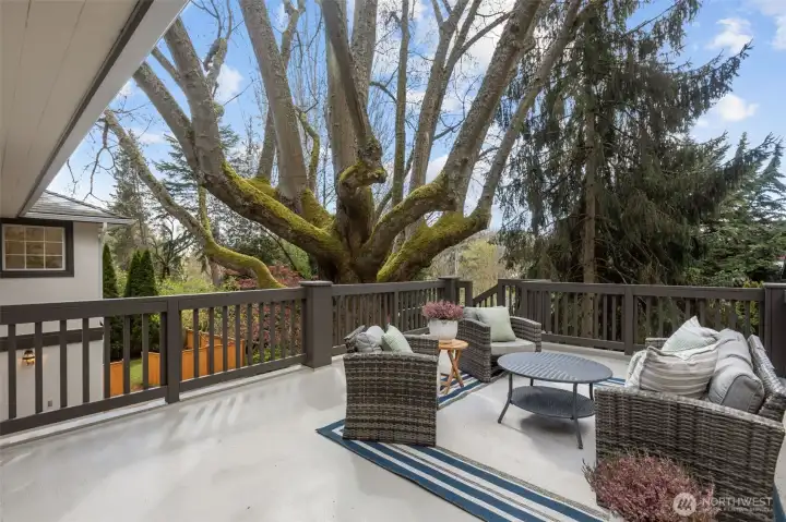Back deck off dining room