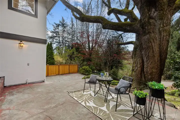 Lower level back patio