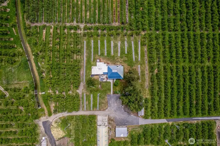 Surrounded by orchards