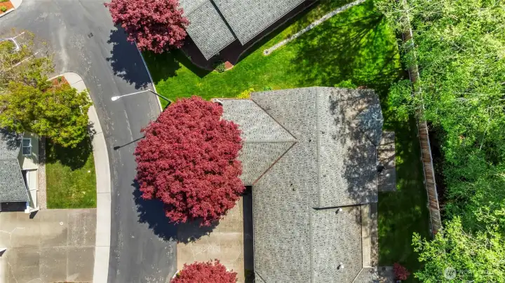 Your own garage and driveway space, plus plenty of guest parking