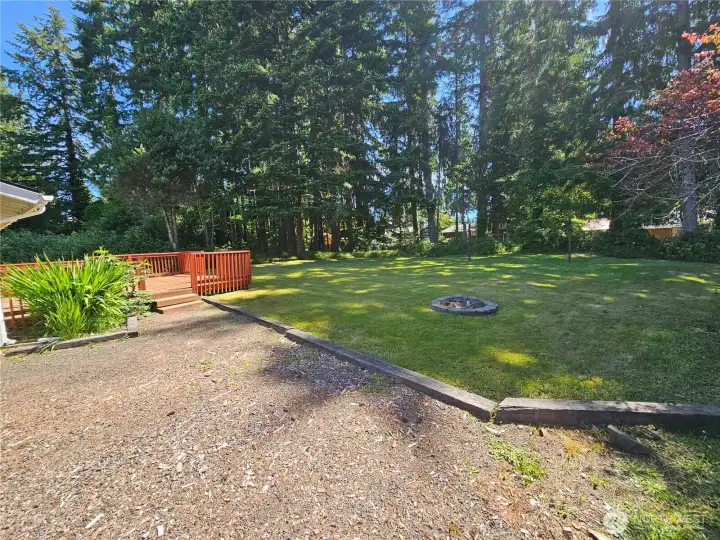 back yard back yard