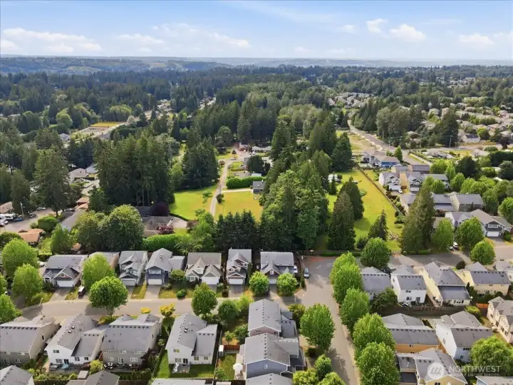 Neighborhood