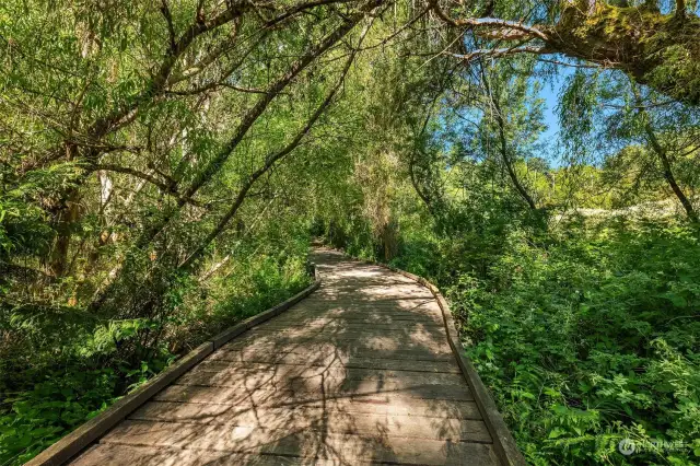 Imagine meandering down a wood planked path to your own island oasis.