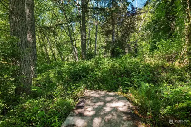 Paved path at the end is towards where the future home site should be.