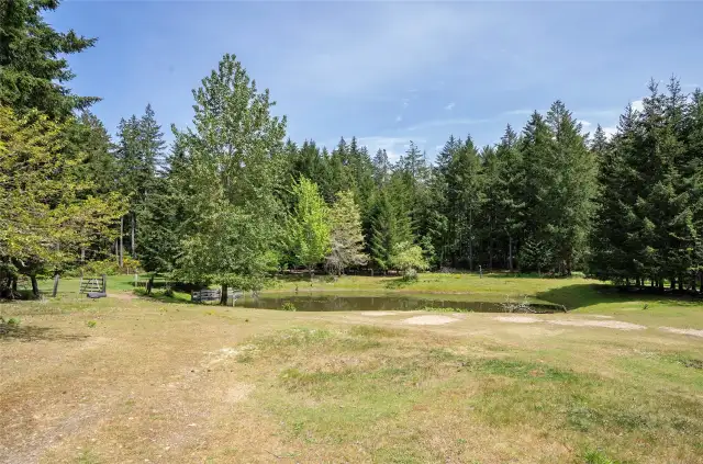 Enjoy the open space, mature trees, and cross fencing