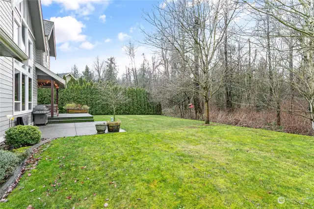 Great size yard w/natural buffer. Hedge trees line city trail & make this space feel truly park-like