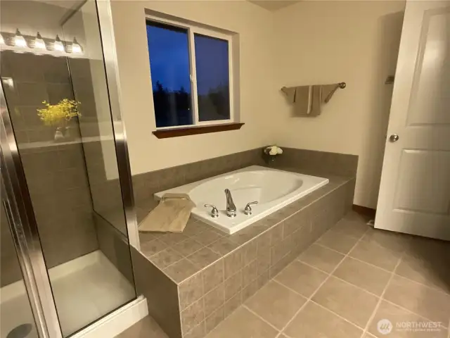 Gorgeous deep sink and enclose shower with tiles and art deco