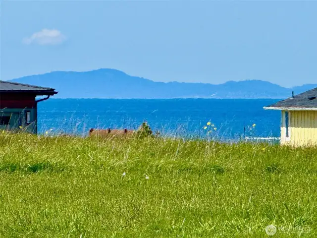 Looking W toward the San Juans.