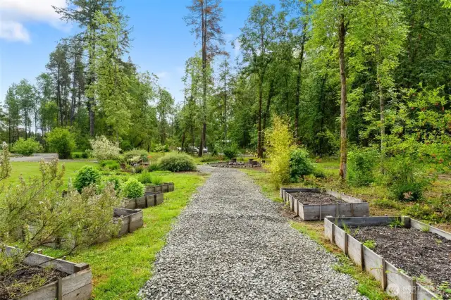 Raised garden with full sun