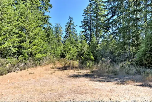 This is the cleared site you can park on to look at the rest of the parcel... Please park in front of my For Sale sign - and don't go further down the driveway onto their private property.