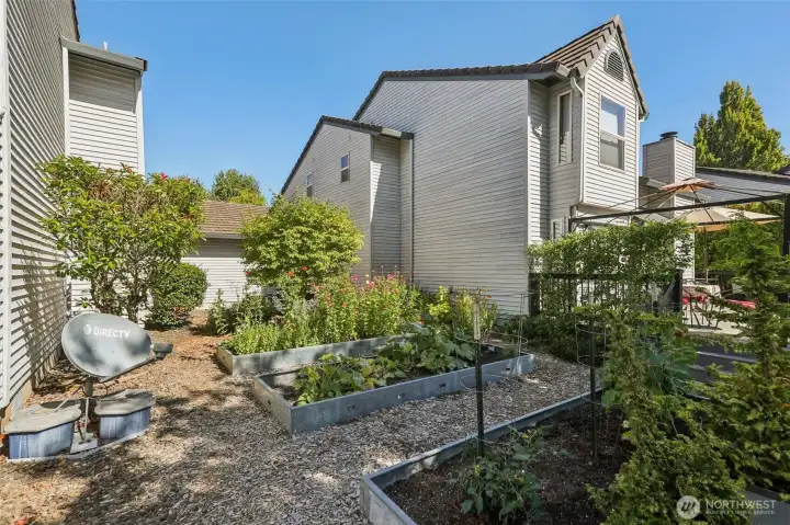 Shared garden area in between units.