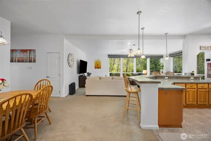 Entry looking into living area