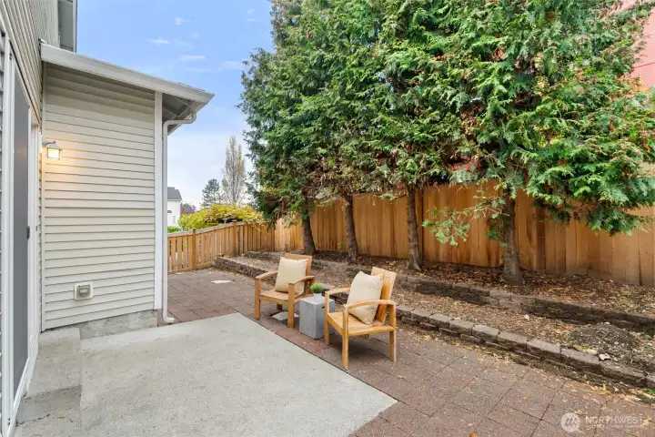 New Fence all around