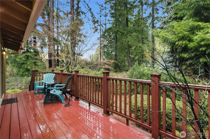 Large back deck was redone in the past five years and is backed by a greenbelt University Place park!