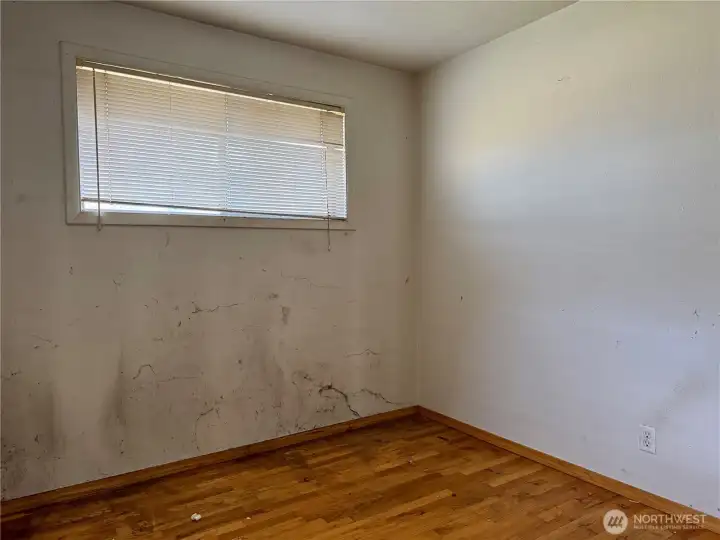 Back bedroom (not mold, just dust)