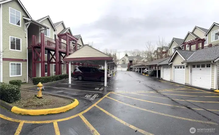 Exterior Driveway