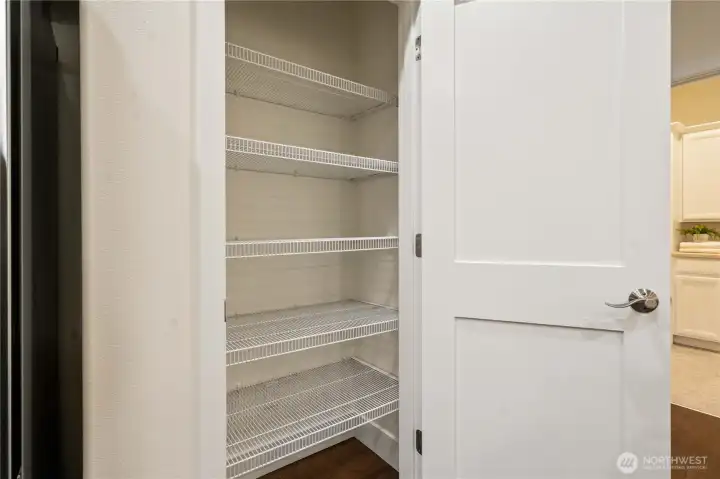 Generous pantry in the kitchen.