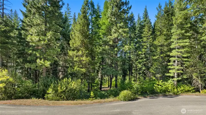 Street View of homesite