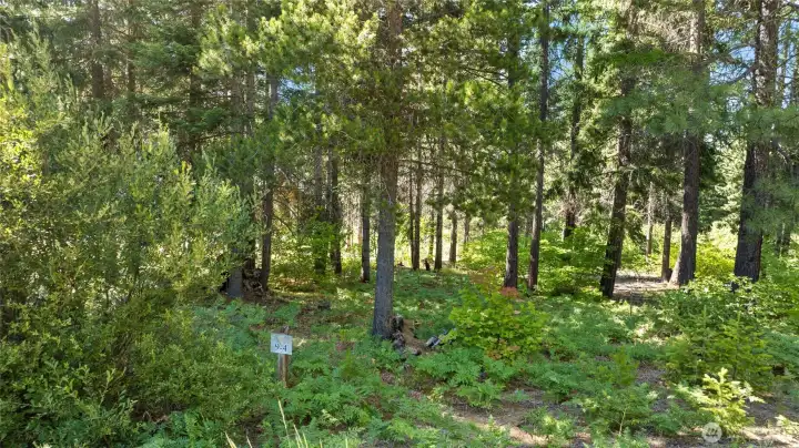 Lot corners and stakes on site