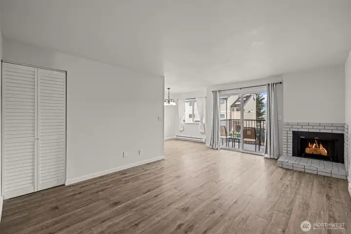 Storage closet and wood burning fireplace.