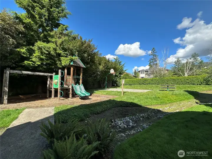 Community playground, basketball court, and picnic area. It's time to play!