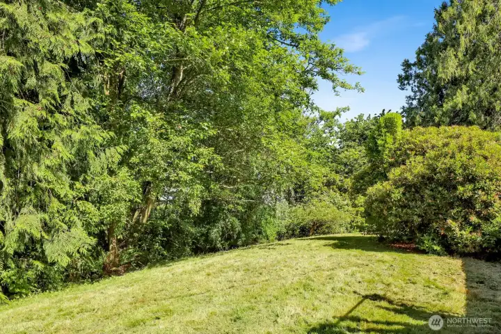 Back yard located off the decks.