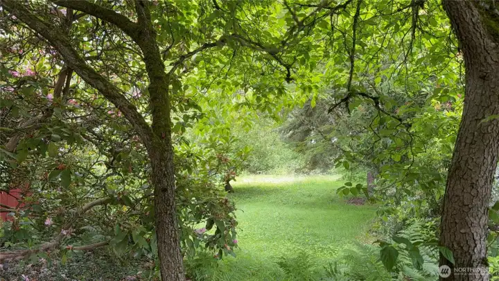 The property if you decide to keep the house and build additional homes.