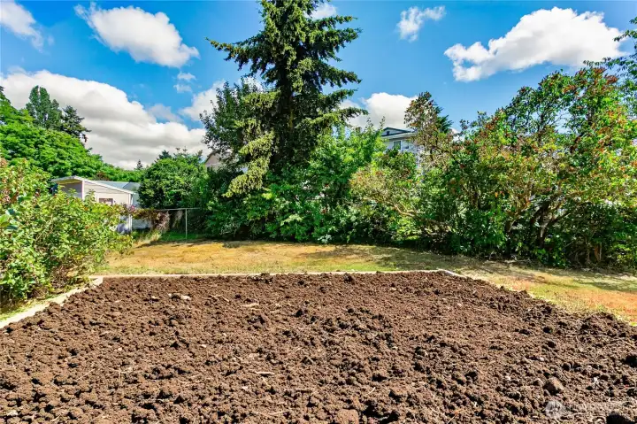 Imposed dirt for a look of your very own garden. Imposed dirt for a look of your very own garden.