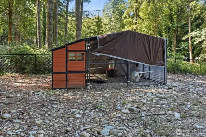 Chicken Coop Chicken Coop