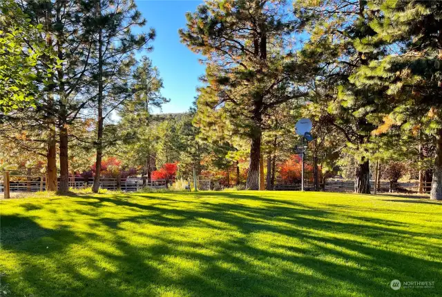 About 1/2-acre of fully sprinklered lawn surround the home. Fall photo in the lower yard.