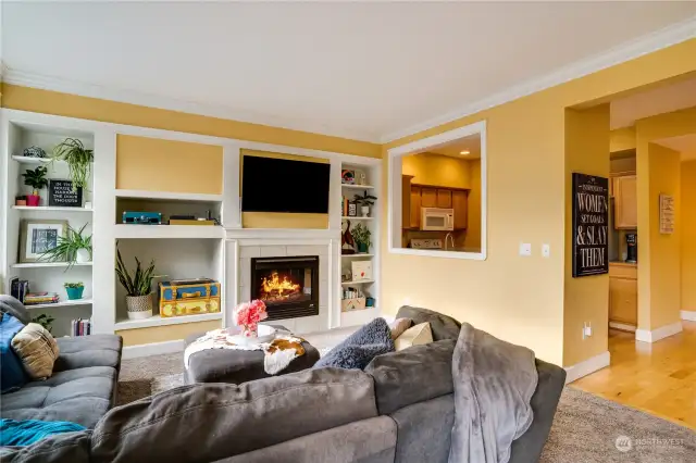 Gas fireplace in the large living room with built ins for storage and decor ( and plants!)