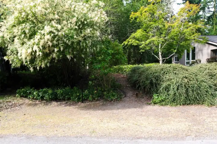 Vacant residential lot with road access and mature vegetation, ideal for clearing and new home construction in Port Townsend.