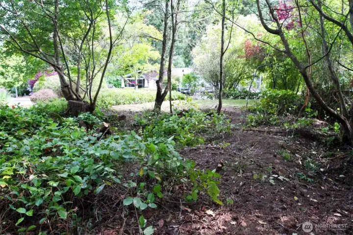 Partially cleared Port Townsend lot with open building space and nearby residential utilities, ready for future home development.