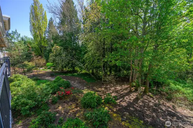 Greenspace into Padden Creek and Fairhaven Park