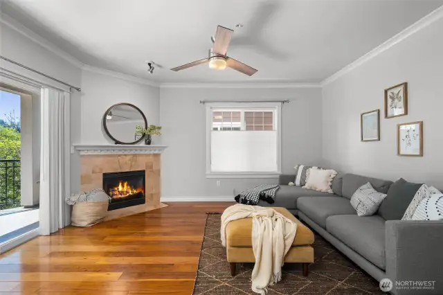 Living area with gas fireplace