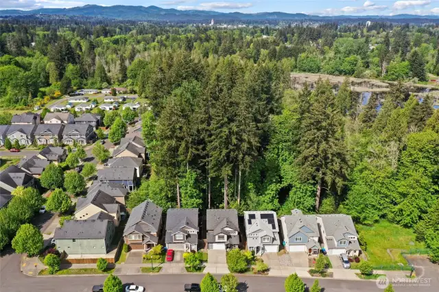 Fabulous neighborhood! Larger view of the private park in back of the home.