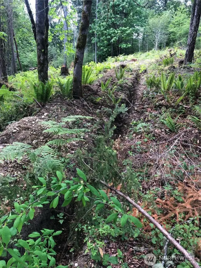 Open Trench from the well