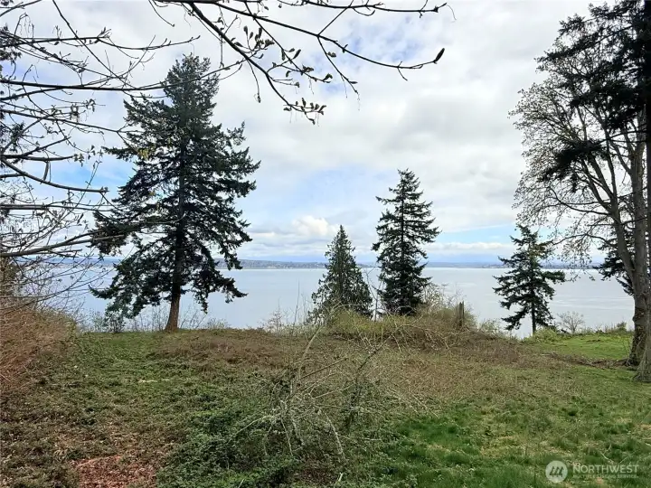 Bluff lot with gorgeous water views of boat traffic from Everett, whale watching & the mountain views are of snow capped Mt Baker & the Cascade Mtn Range.