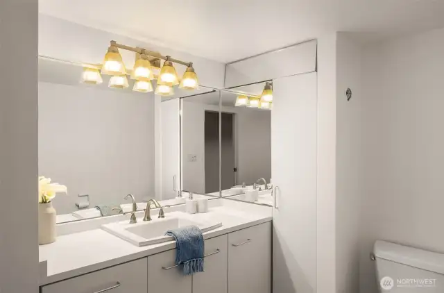 Lower level full bath