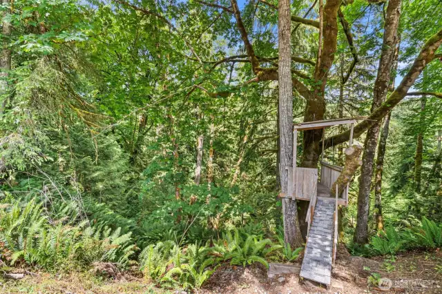 Tree house!