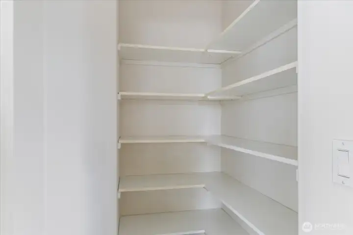 Walk in pantry