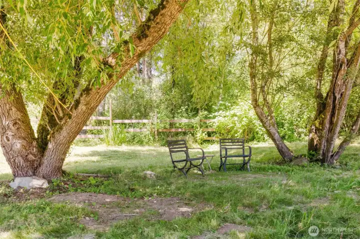 Sit under these weeping willows and enjoy the serenity of your own oasis.