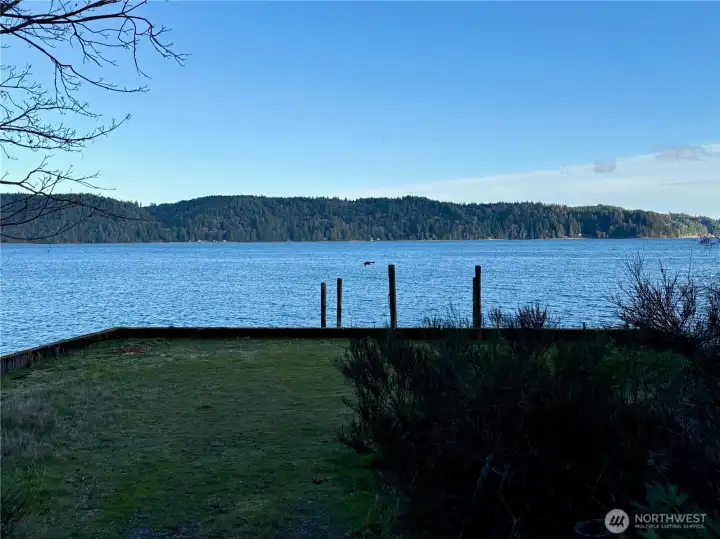 Bald eagle departing piling near shoreline.