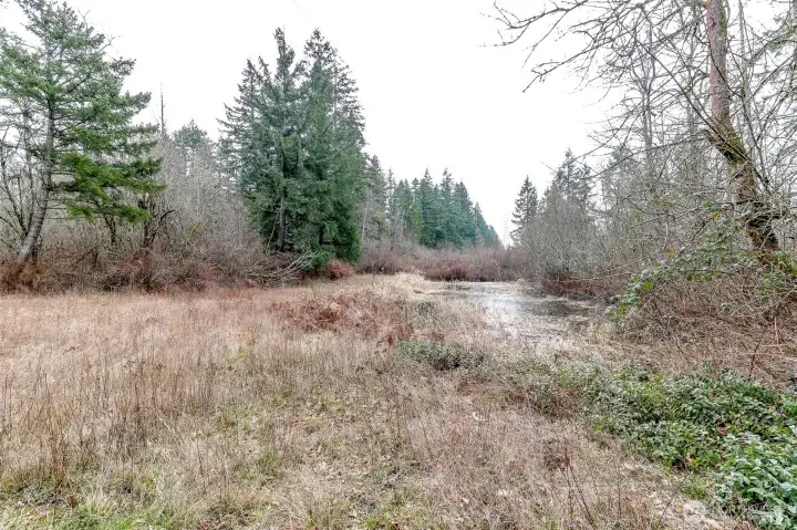 4.89 acre parcel sold separately or with house