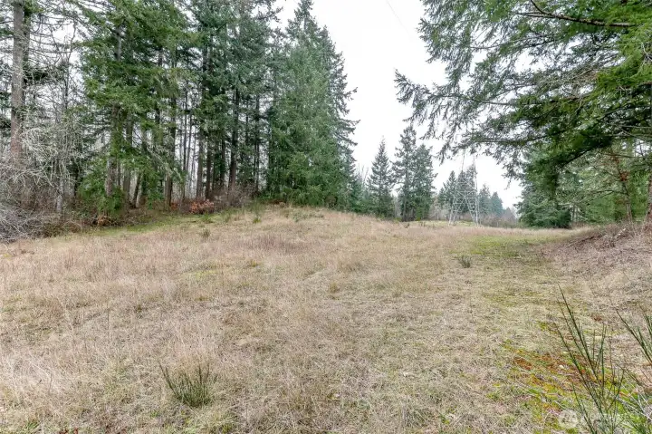 4.89 acre parcel sold separately or with house